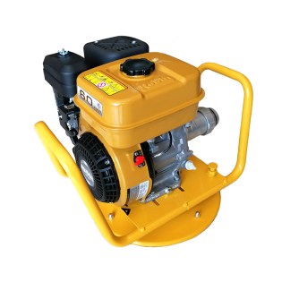 evasiliougr donitiko robin